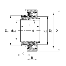 {S 2209-K-2RS-TVH-C3 + H309,  DIN 630  DIN 5415 ˜ʵҪߴ, F׺;oףɂȴܷ